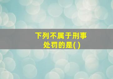 下列不属于刑事处罚的是( )